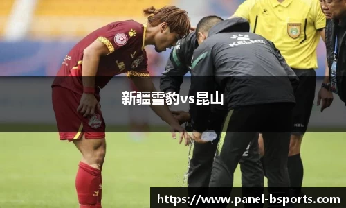 新疆雪豹vs昆山